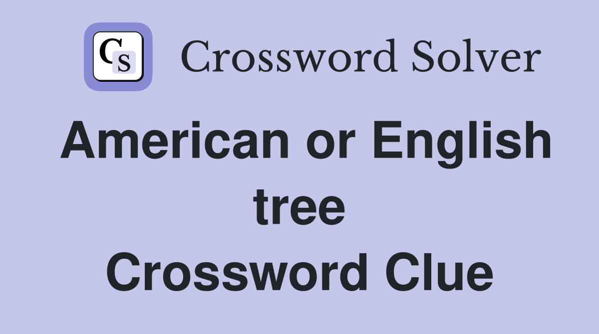 American or English tree Crossword Clue