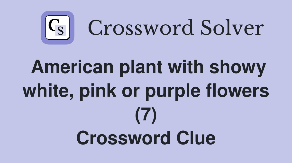 American plant with showy white, pink or purple flowers (7) Crossword Clue