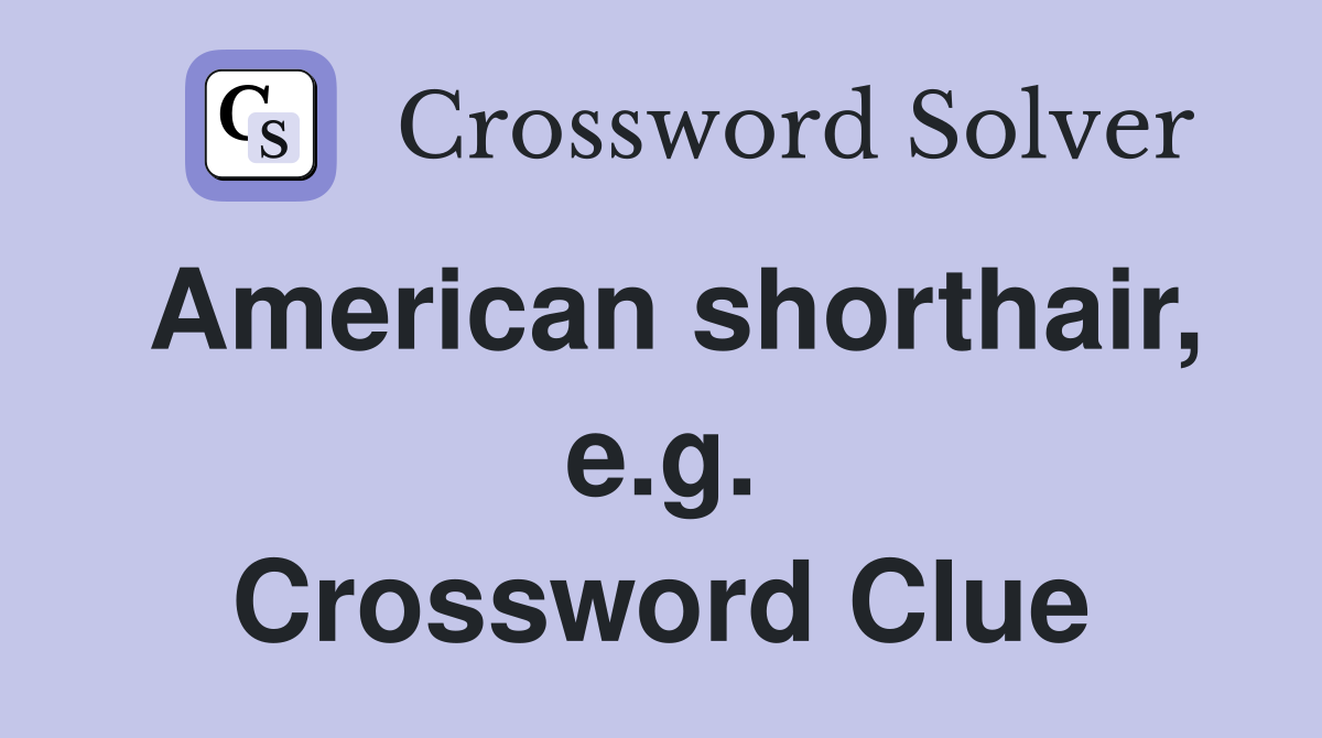American shorthair, e.g. Crossword Clue