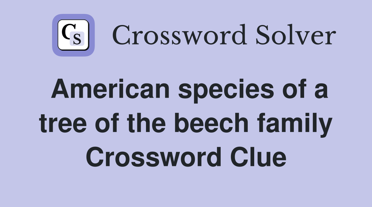 American species of a tree of the beech family Crossword Clue
