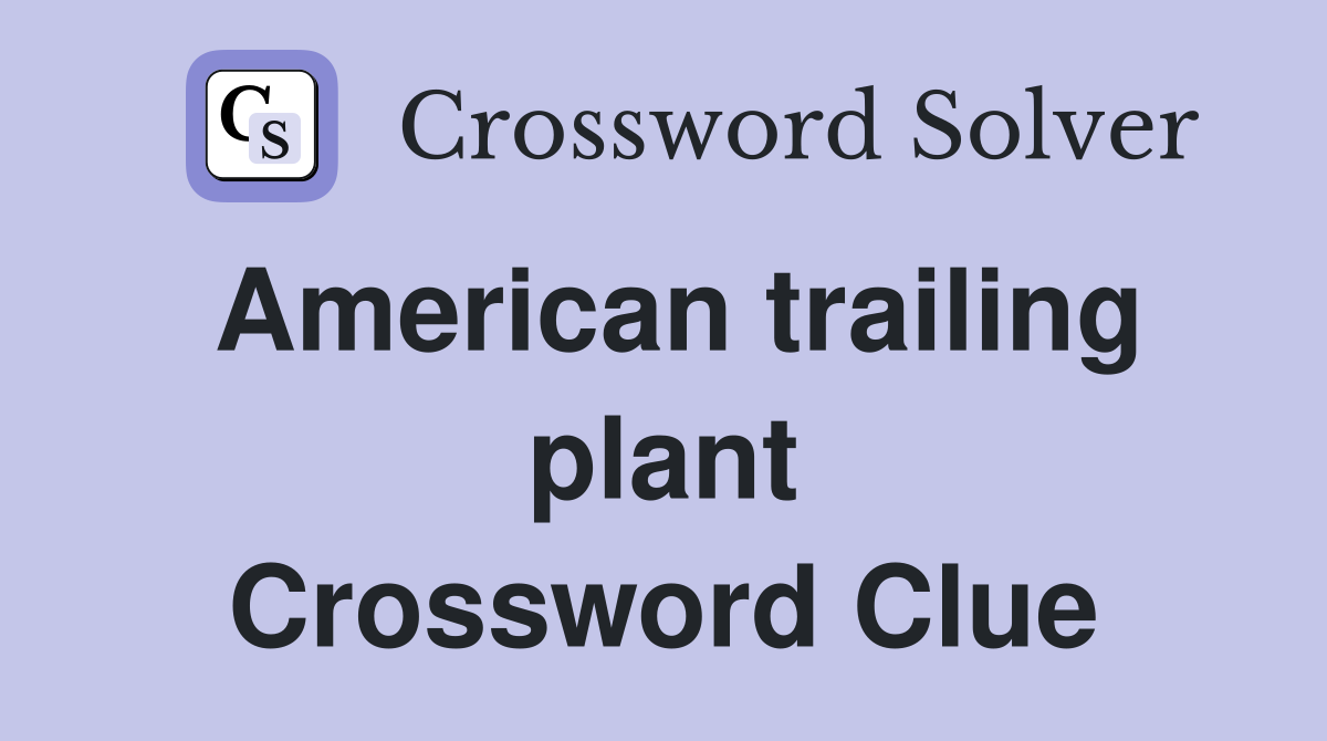 American trailing plant Crossword Clue