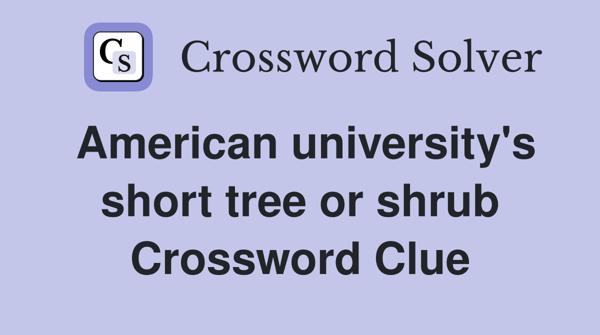 American university's short tree or shrub Crossword Clue