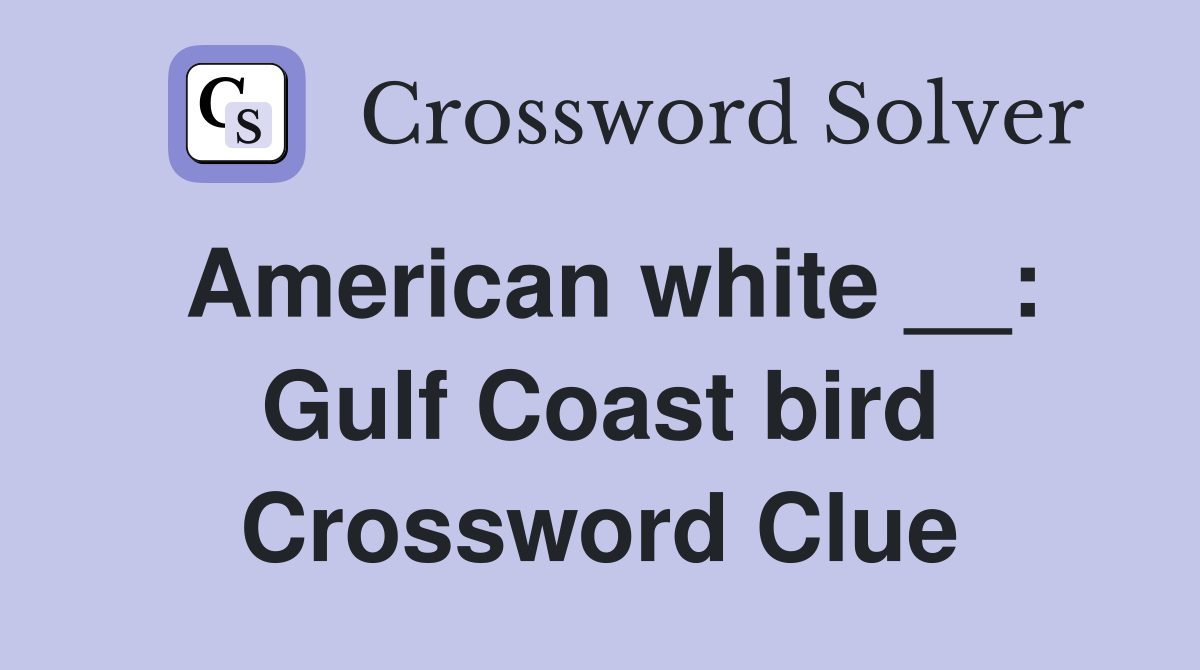 American white __: Gulf Coast bird Crossword Clue