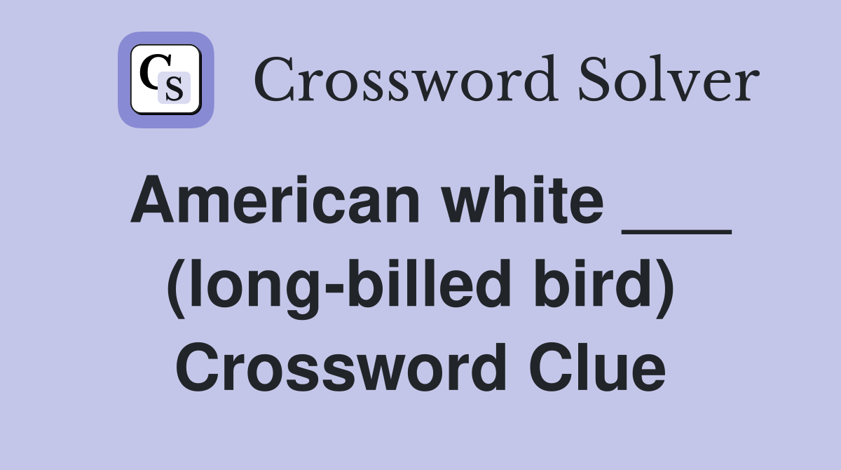 American white ___ (long-billed bird) Crossword Clue