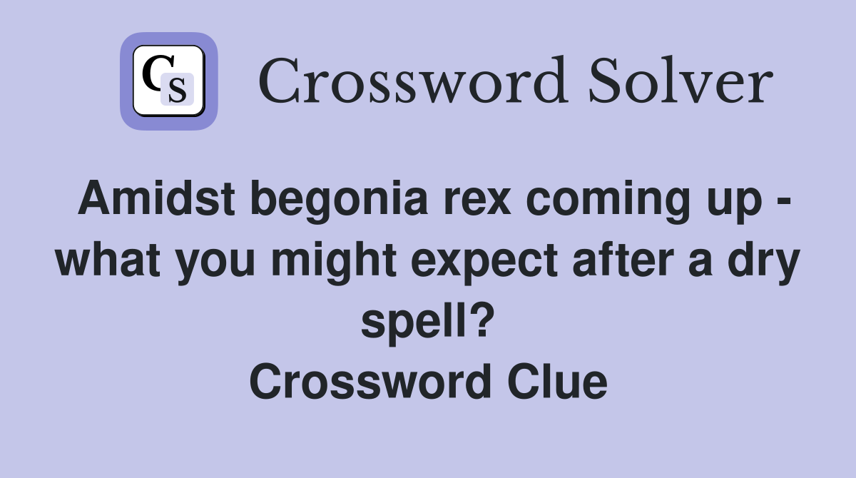 Amidst begonia rex coming up - what you might expect after a dry spell? Crossword Clue