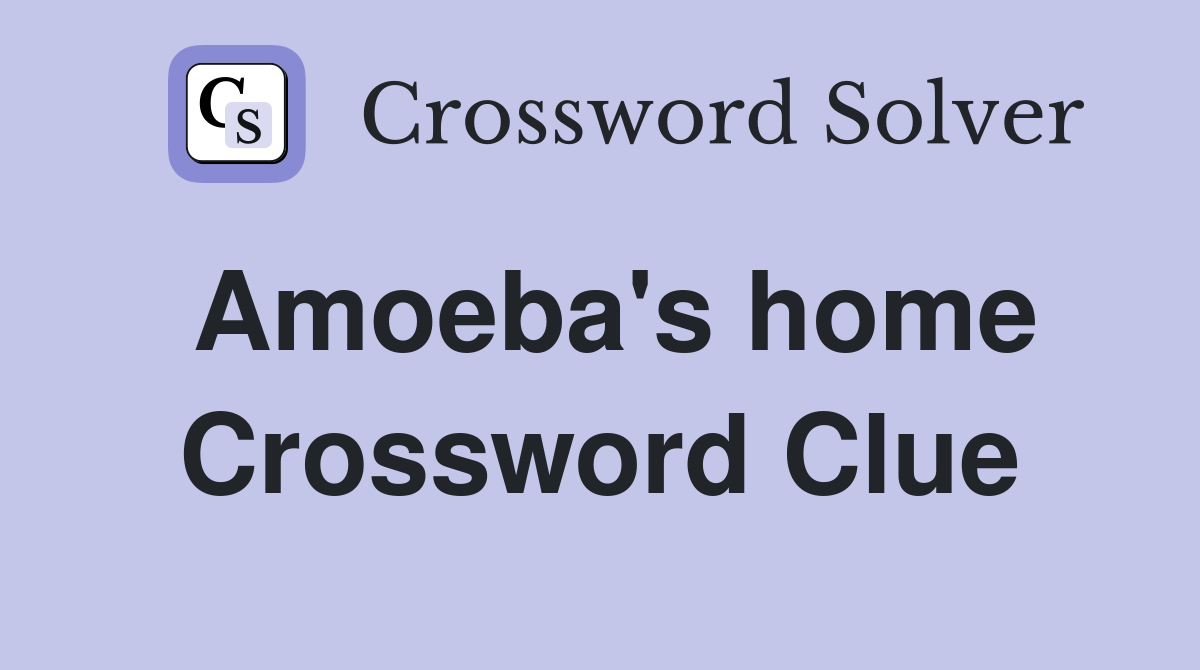 Amoeba's home Crossword Clue