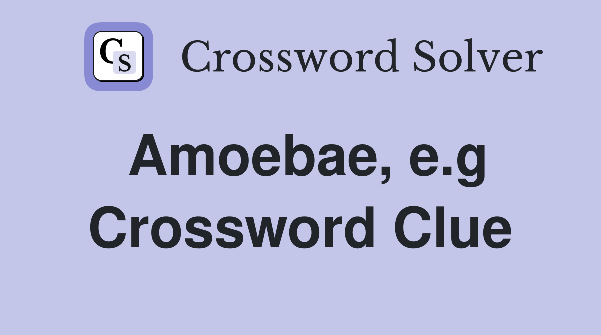 Amoebae, e.g Crossword Clue
