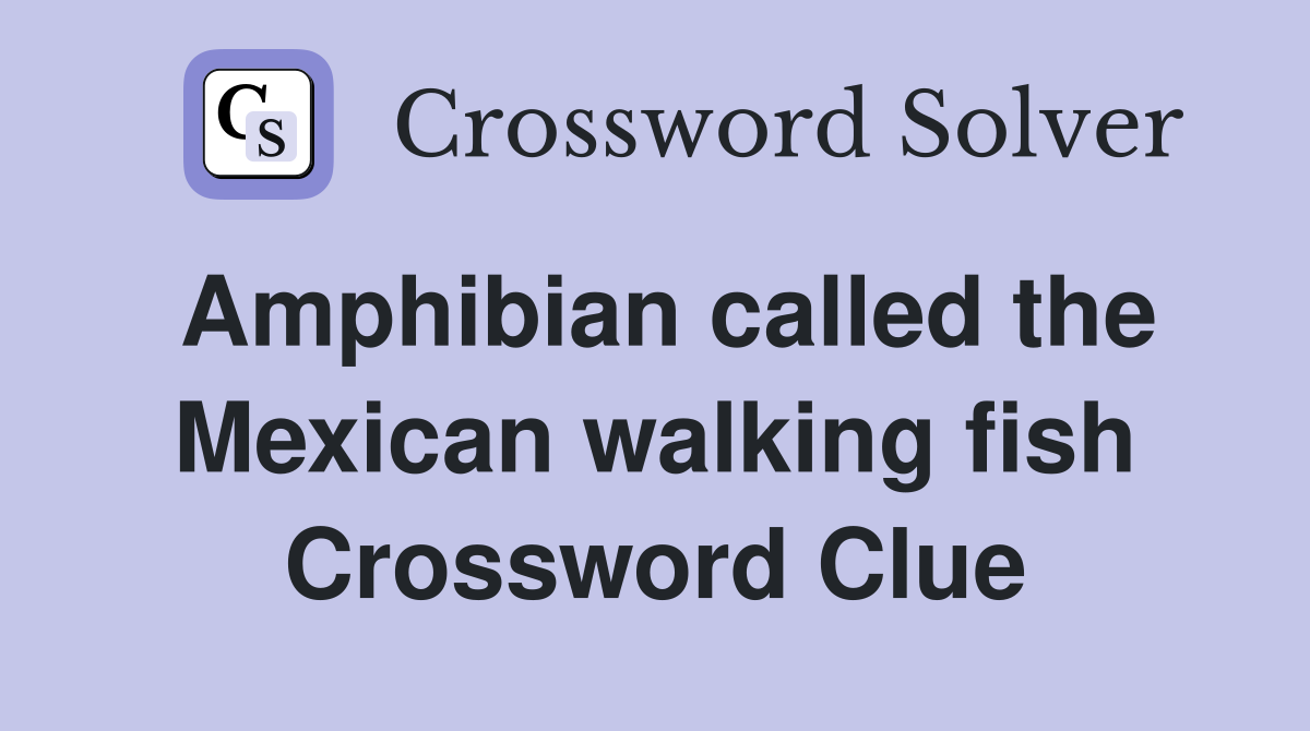 Amphibian called the Mexican walking fish Crossword Clue