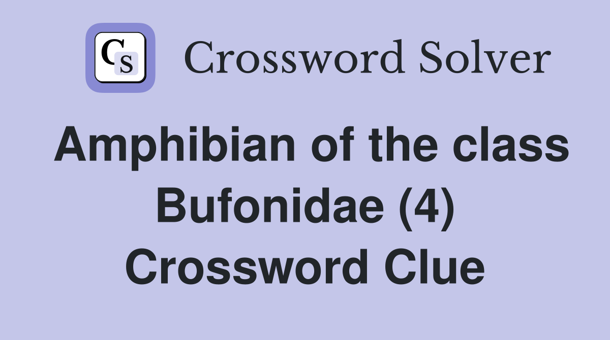 Amphibian of the class Bufonidae (4) Crossword Clue