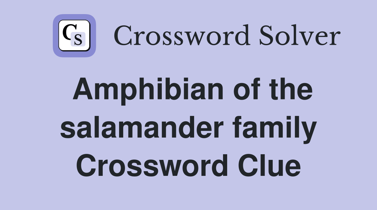 Amphibian of the salamander family Crossword Clue