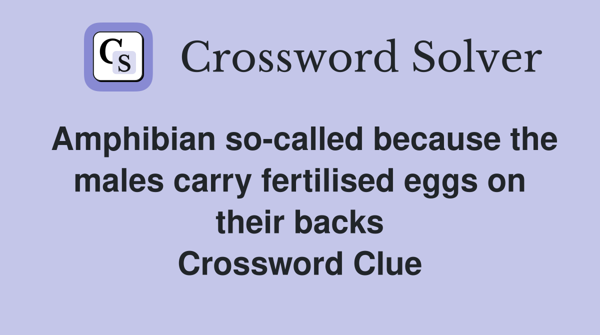 Amphibian so-called because the males carry fertilised eggs on their backs Crossword Clue