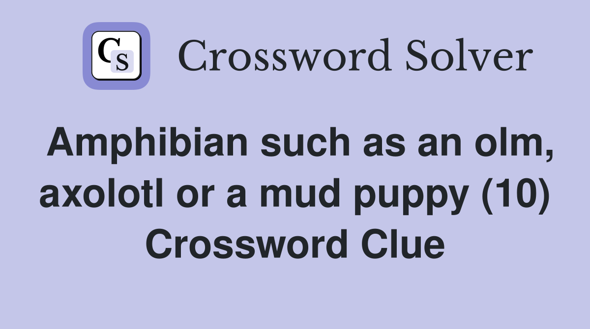 Amphibian such as an olm, axolotl or a mud puppy (10) Crossword Clue