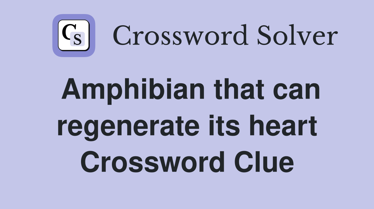 Amphibian that can regenerate its heart Crossword Clue