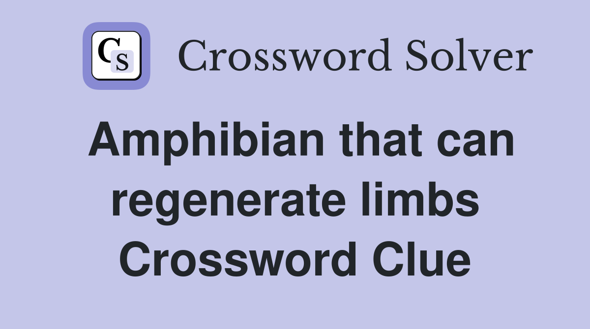 Amphibian that can regenerate limbs Crossword Clue