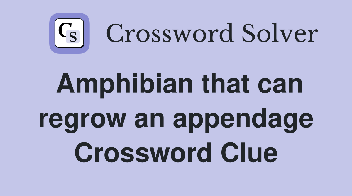 Amphibian that can regrow an appendage Crossword Clue