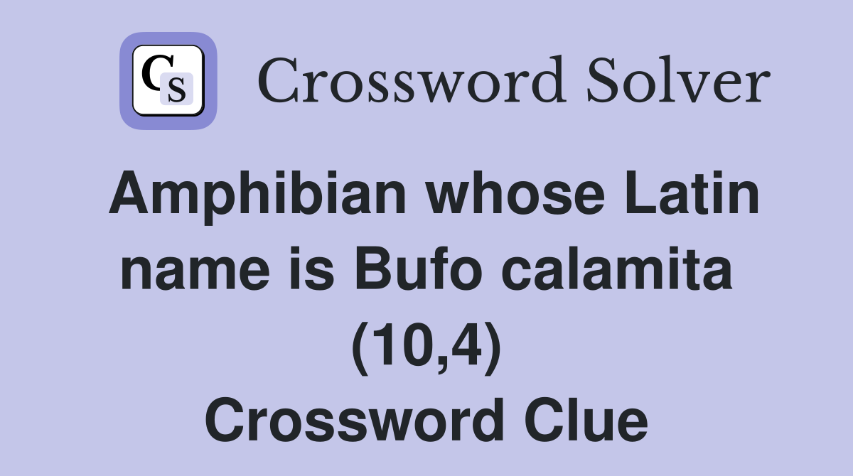 Amphibian whose Latin name is Bufo calamita (10,4) Crossword Clue