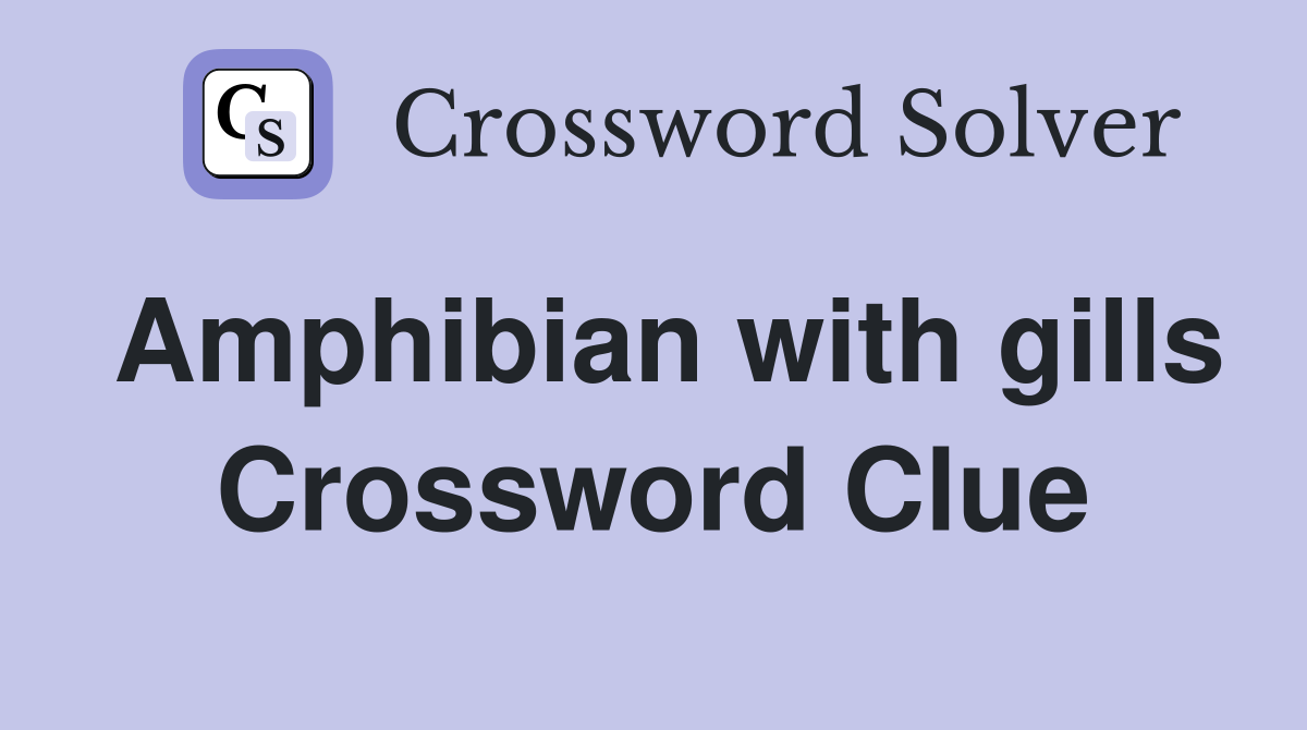 Amphibian with gills Crossword Clue