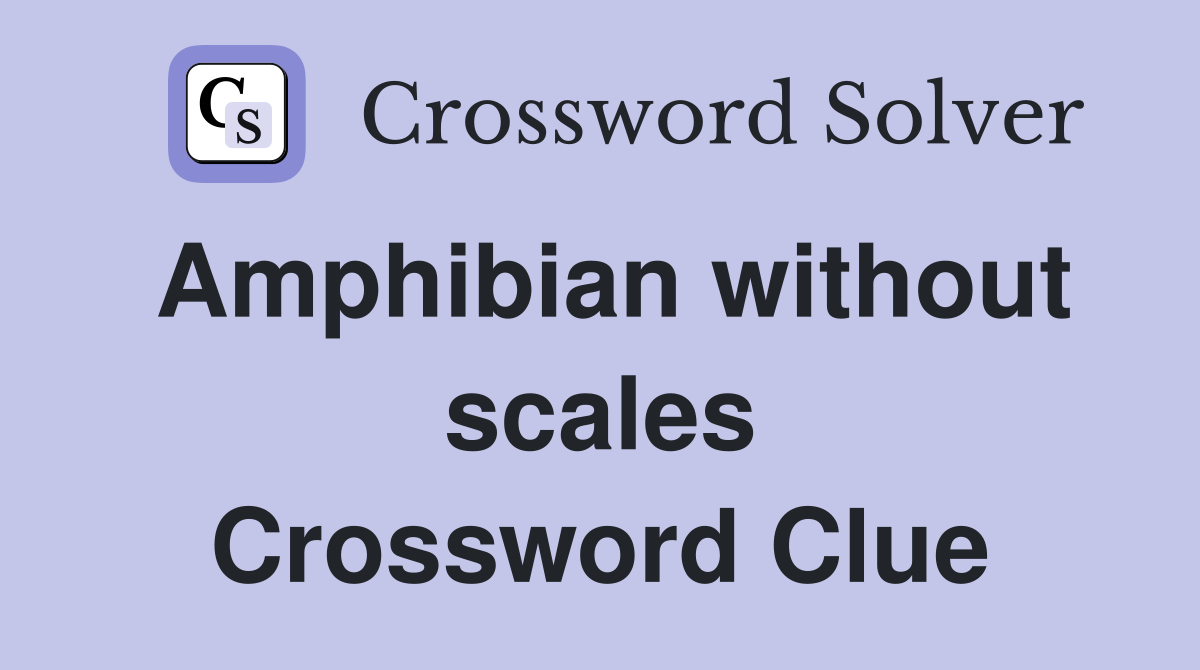 Amphibian without scales Crossword Clue