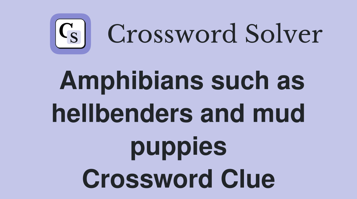 Amphibians such as hellbenders and mud puppies Crossword Clue