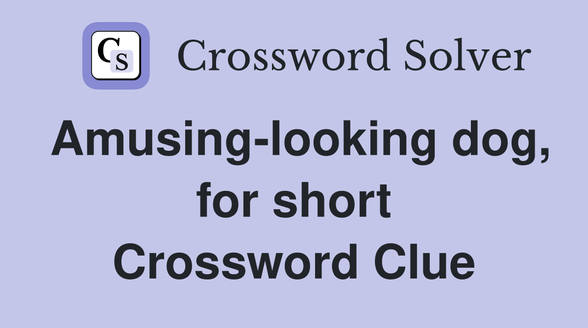 Amusing-looking dog, for short Crossword Clue