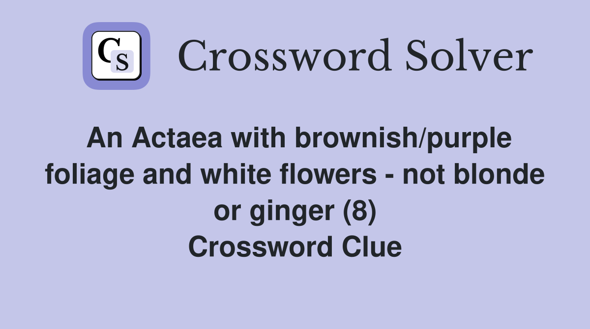 An Actaea with brownish/purple foliage and white flowers - not blonde or ginger (8) Crossword Clue
