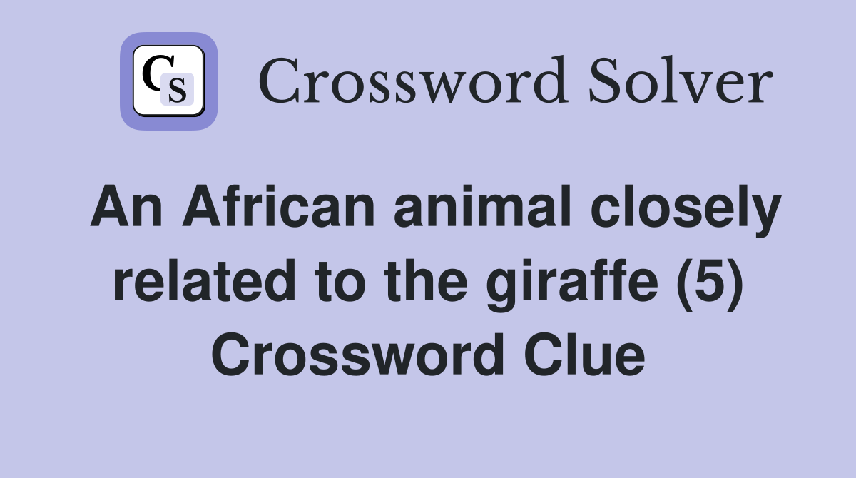An African animal closely related to the giraffe (5) Crossword Clue