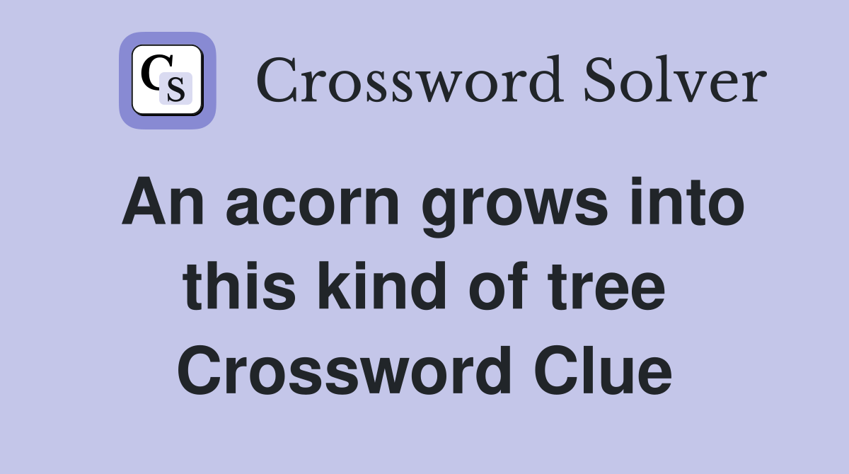 An acorn grows into this kind of tree Crossword Clue