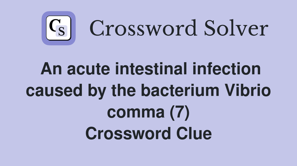An acute intestinal infection caused by the bacterium Vibrio comma (7) Crossword Clue