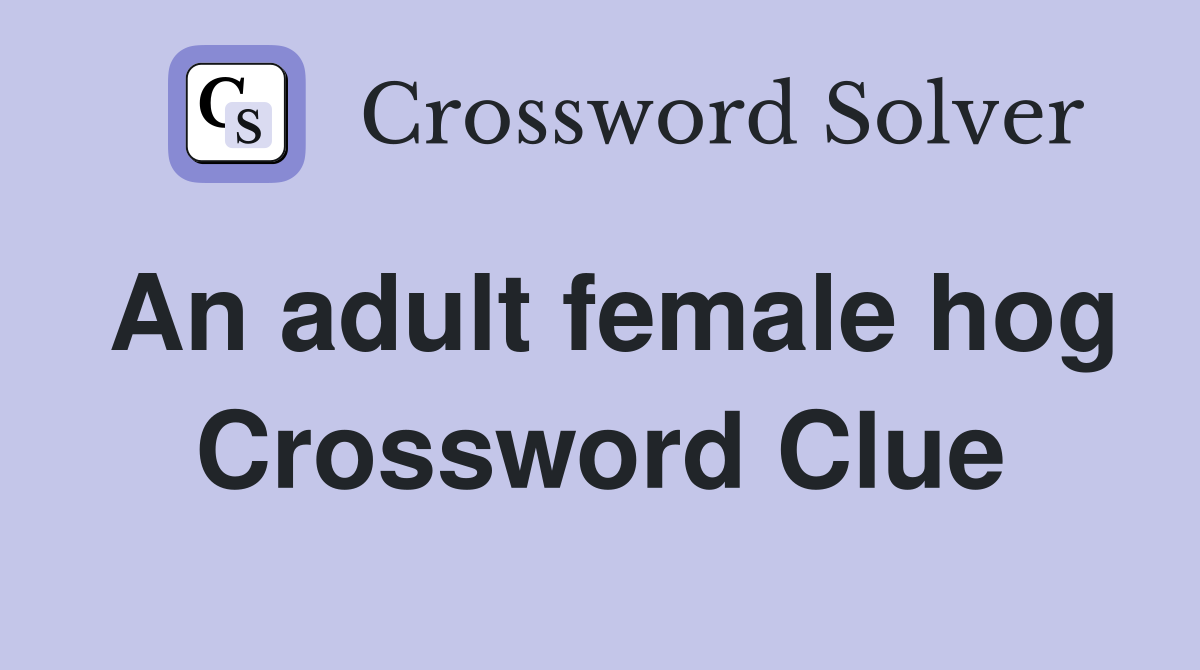 An adult female hog Crossword Clue