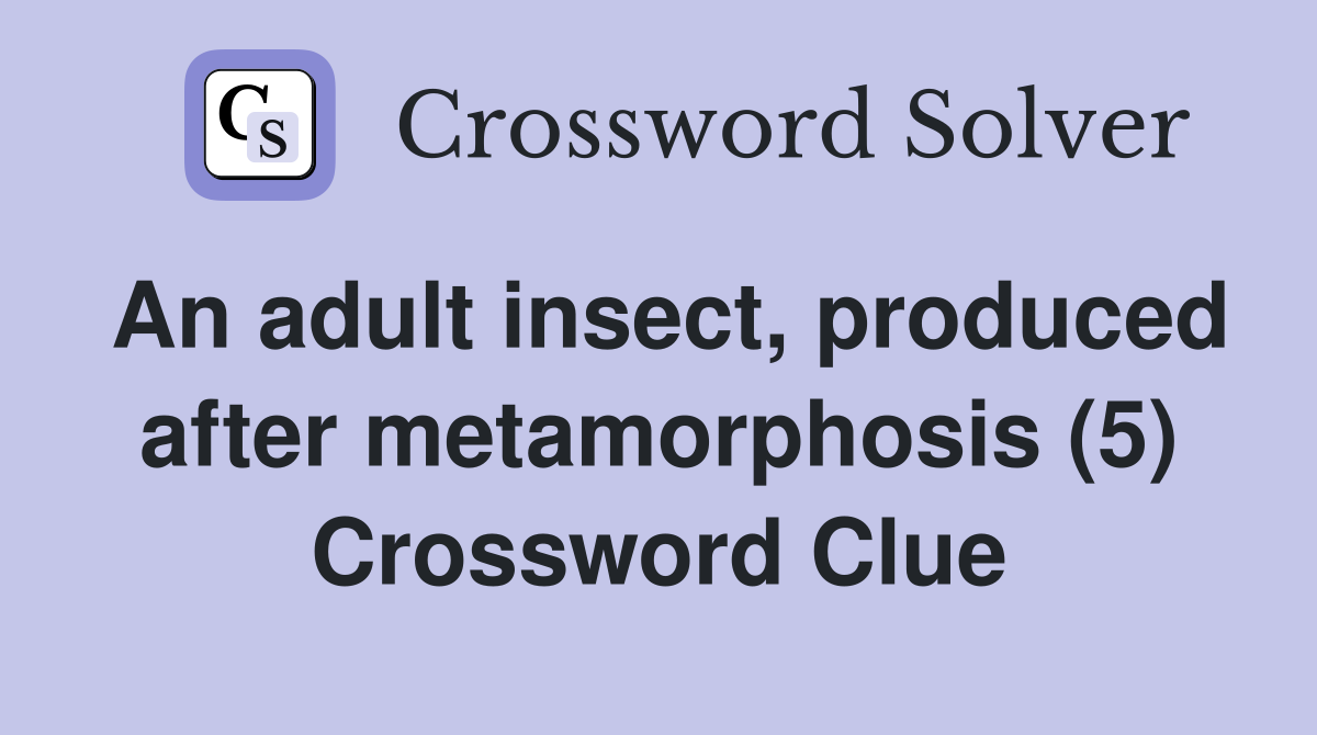 An adult insect, produced after metamorphosis (5) Crossword Clue