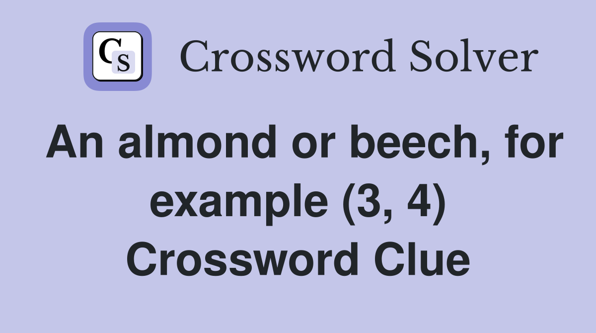 An almond or beech, for example (3, 4) Crossword Clue