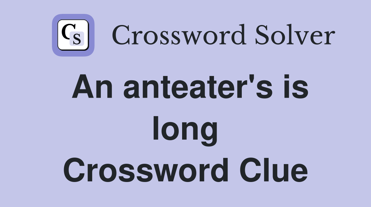 An anteater's is long Crossword Clue