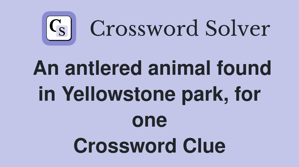 An antlered animal found in Yellowstone park, for one Crossword Clue