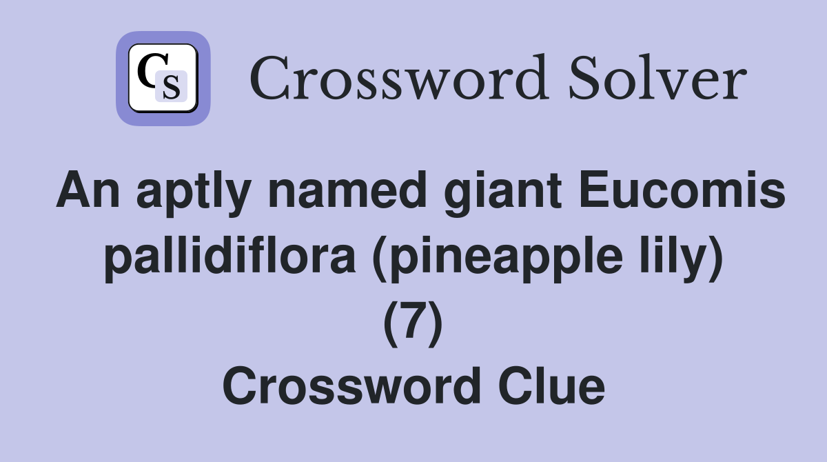 An aptly named giant Eucomis pallidiflora (pineapple lily) (7) Crossword Clue