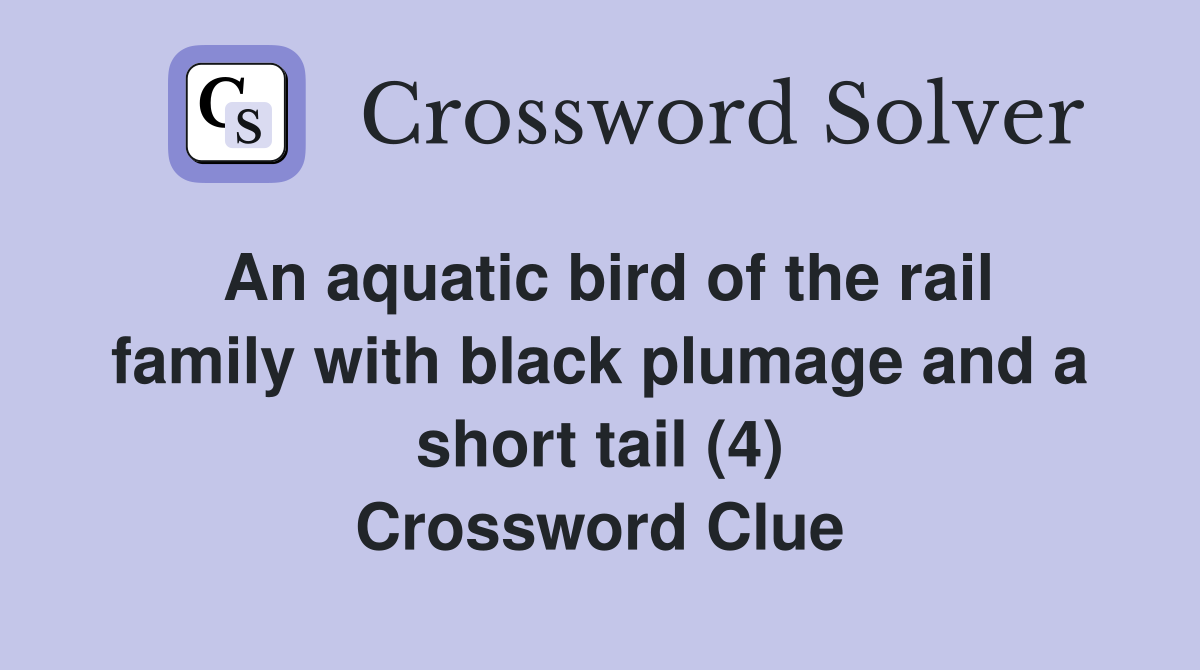 An aquatic bird of the rail family with black plumage and a short tail (4) Crossword Clue