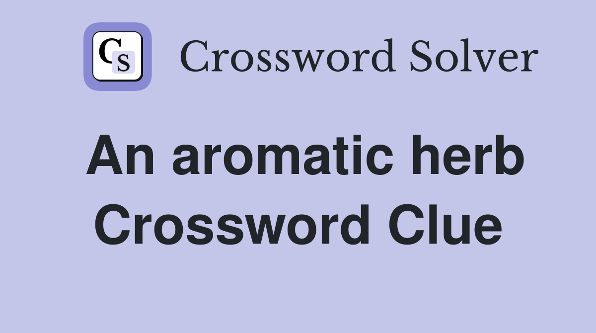 An aromatic herb Crossword Clue