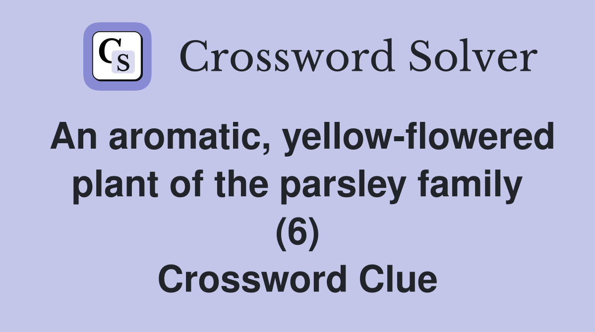 An aromatic, yellow-flowered plant of the parsley family (6) Crossword Clue