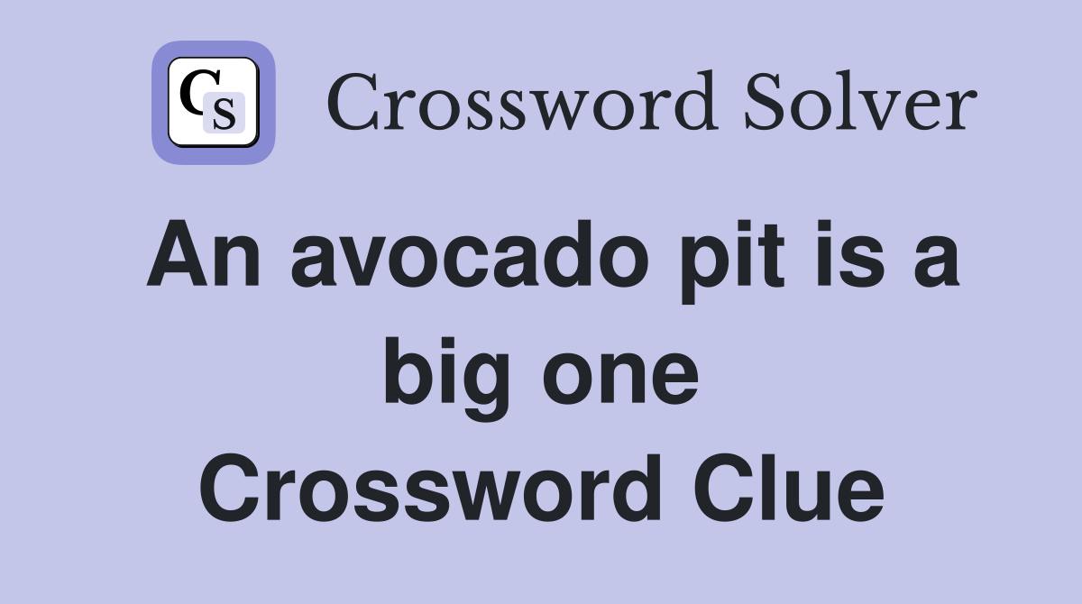 An avocado pit is a big one Crossword Clue
