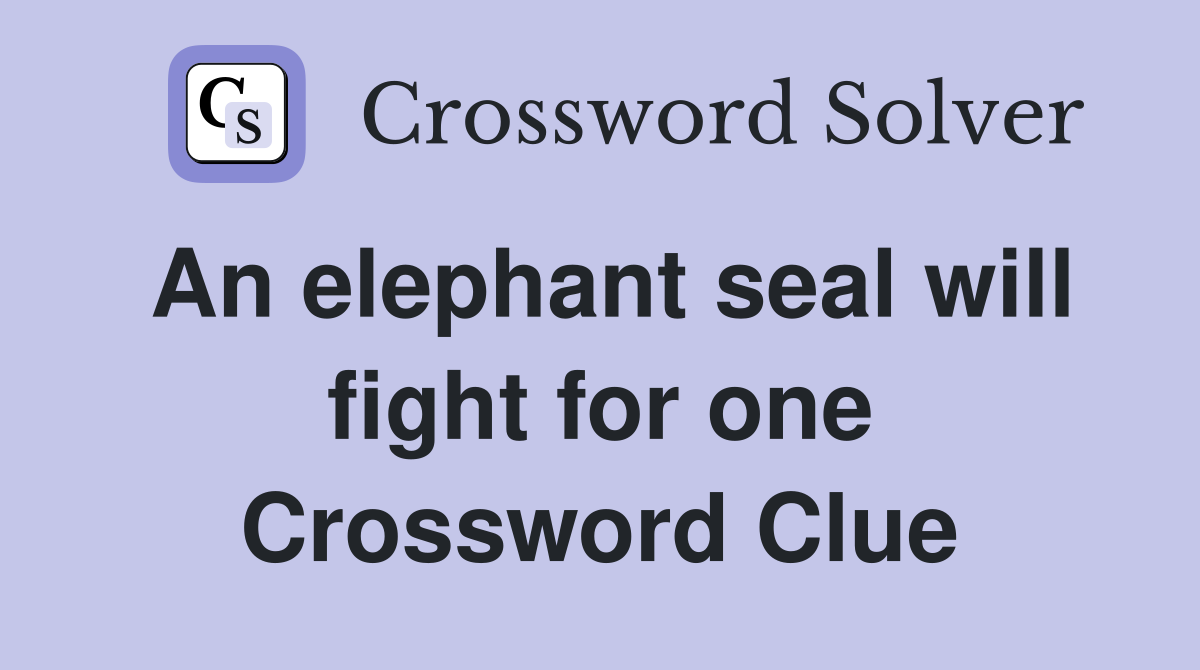 An elephant seal will fight for one Crossword Clue