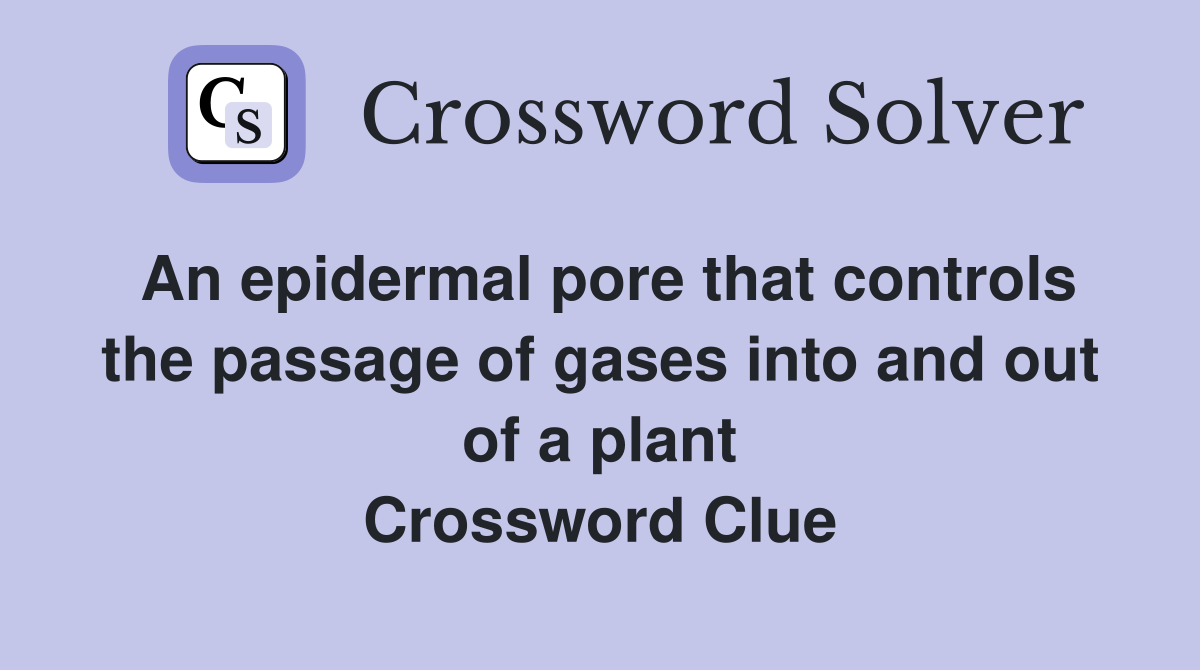 An epidermal pore that controls the passage of gases into and out of a plant Crossword Clue