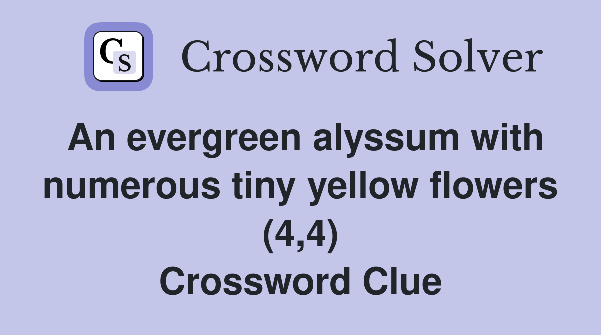 An evergreen alyssum with numerous tiny yellow flowers (4,4) Crossword Clue