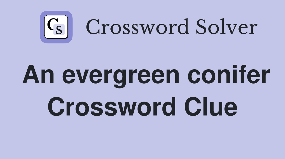An evergreen conifer Crossword Clue Answers Crossword Solver