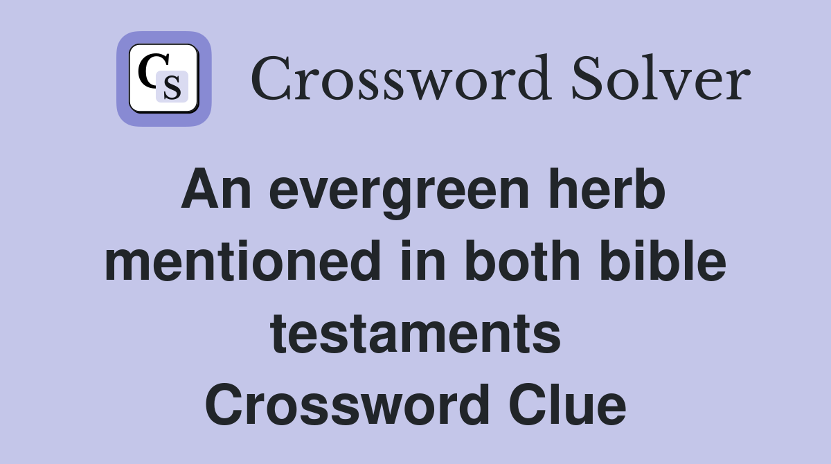 An evergreen herb mentioned in both bible testaments Crossword Clue