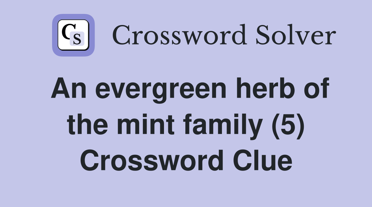 An evergreen herb of the mint family (5) Crossword Clue