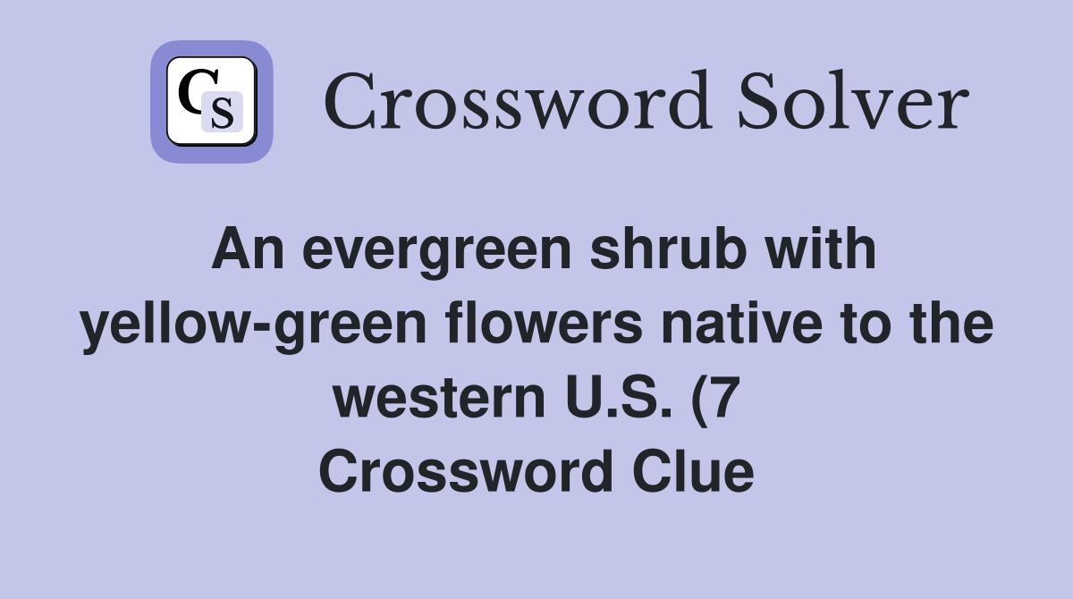 An evergreen shrub with yellow green flowers native to the western U S An evergreen shrub with yellow green flowers native to the western U S