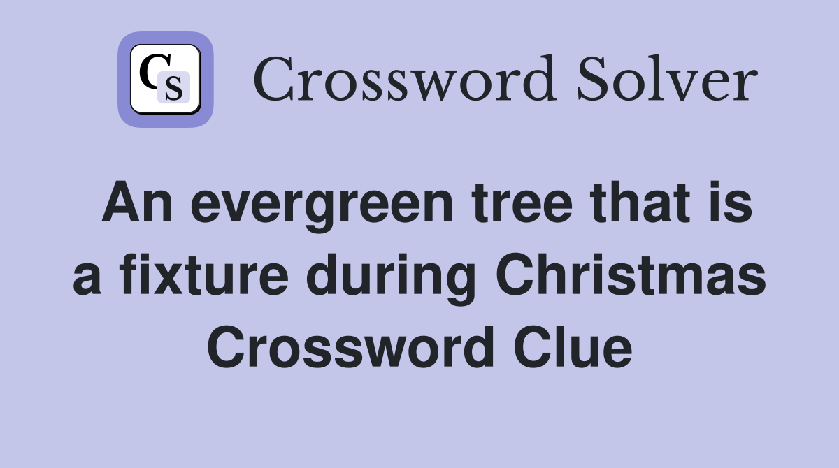 An evergreen tree that is a fixture during Christmas Crossword Clue