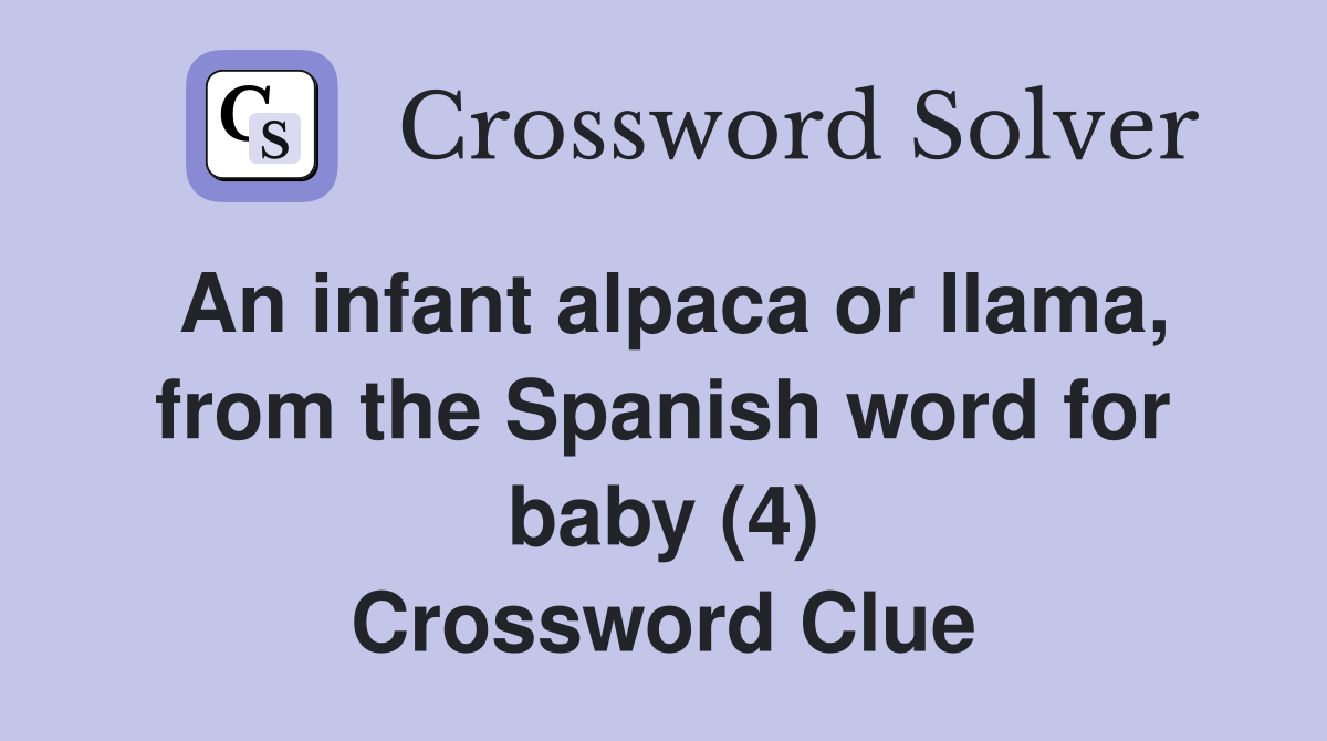 An infant alpaca or llama, from the Spanish word for baby (4) Crossword Clue