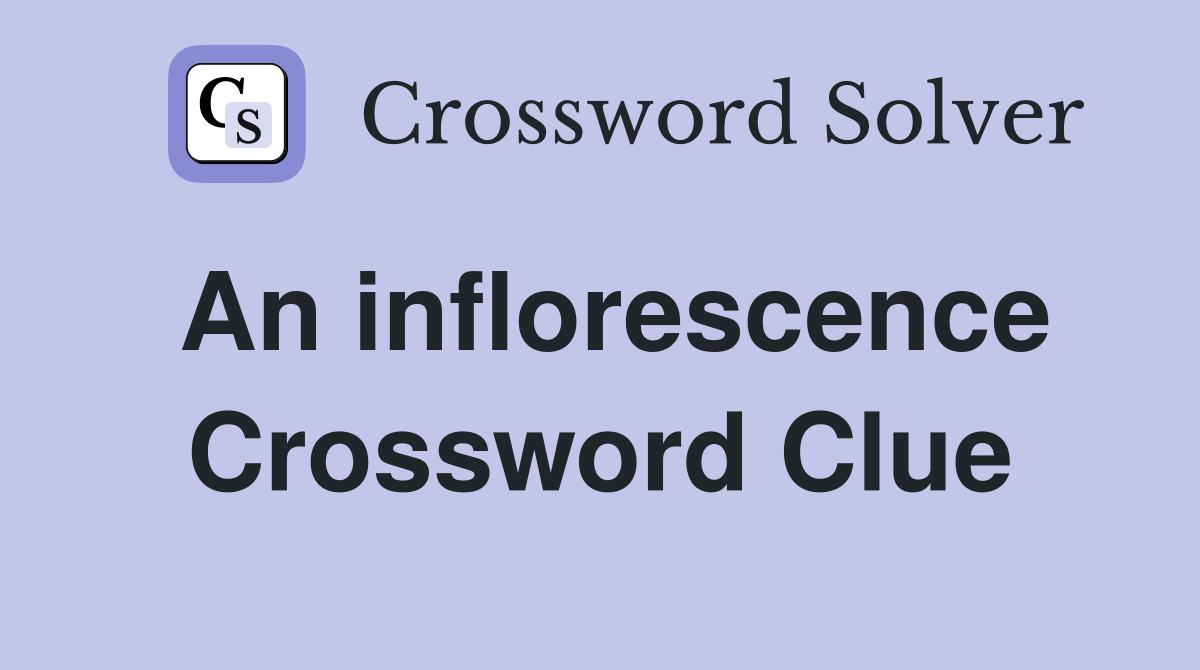 An inflorescence Crossword Clue