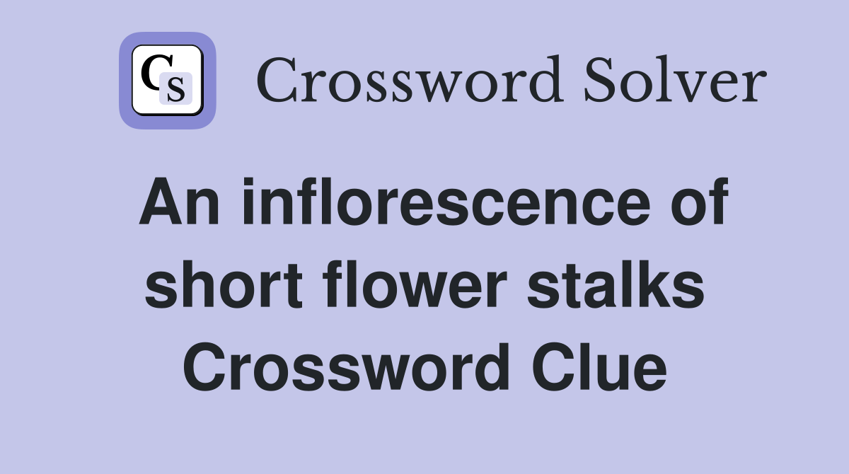 An inflorescence of short flower stalks Crossword Clue