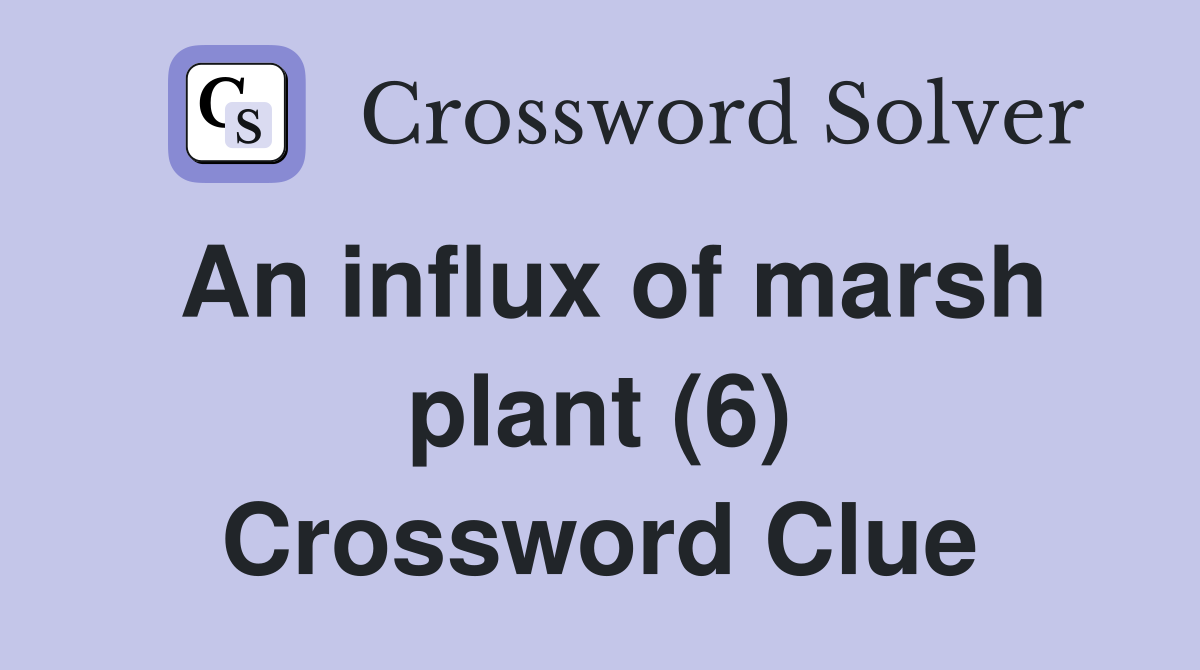 An influx of marsh plant (6) Crossword Clue
